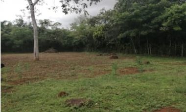 Vendo Terreno Nuevo Emperador Arraiján PRECIO DE REMATE