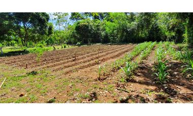 Vendo Terreno Nuevo Emperador Arraiján PRECIO DE REMATE