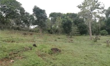 Vendo Terreno Nuevo Emperador Arraiján PRECIO DE REMATE