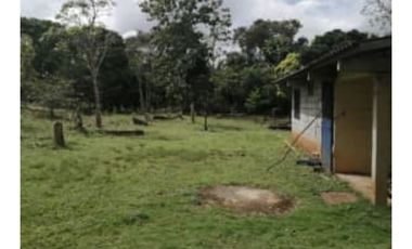 Vendo Terreno Nuevo Emperador Arraiján PRECIO DE REMATE