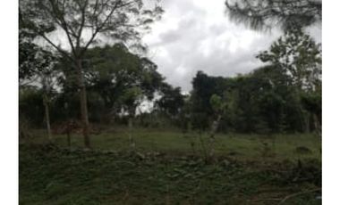 Vendo Terreno Nuevo Emperador Arraiján PRECIO DE REMATE