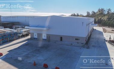 EXCELENTE GALPÓN 1.800 M2 A ESTRENAR - EN ALQUILER - PARQUE INDUSTRIAL CIR 2 - RUTA 2 - BERAZATEGUI