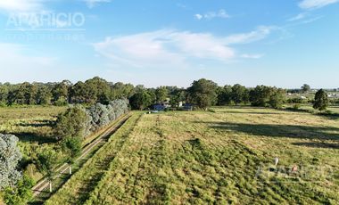4 hectareas en venta