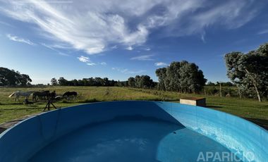 4 hectareas en venta