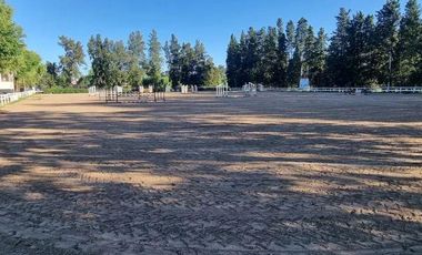 Campo Chico CC