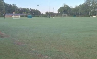 Campo Chico CC