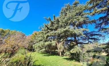 Casa en Venta en San Pedro - Un refugio natural con estilo colonial a minutos de la Ciudad
