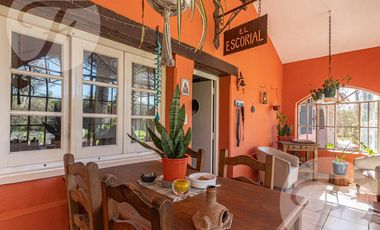 Casa en Venta en San Pedro - Un refugio natural con estilo colonial a minutos de la Ciudad