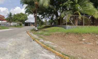 Se Vende Terreno Comercial de18380M2 en Via Transístmica, Pueblo Nuevo