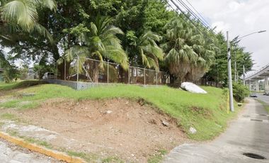 Se Vende Terreno Comercial de18380M2 en Via Transístmica, Pueblo Nuevo