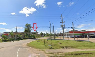 Venta Terreno de 1982M2 en Nata a pocos metros de la Via Panamericana