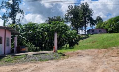 SE VENDE TERRENO EN EL HIGO DE SAN CARLOS $ 136.00Mtr2 !!!!!!!