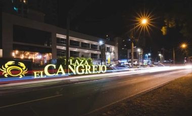 Alquiler de Local Comercial en Plaza el Cangrejo (EC_A)