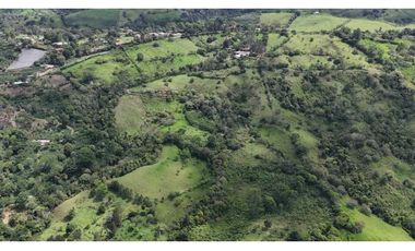 VENDO FINCA DE 69 HECTAREAS- LECHERIA