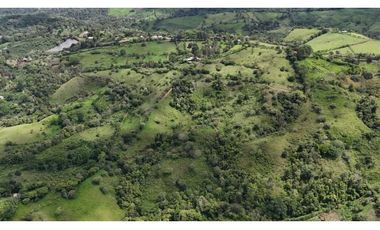 VENDO FINCA DE 69 HECTAREAS- LECHERIA