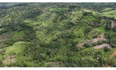 VENDO FINCA DE 69 HECTAREAS- LECHERIA