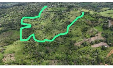 VENDO FINCA DE 69 HECTAREAS- LECHERIA