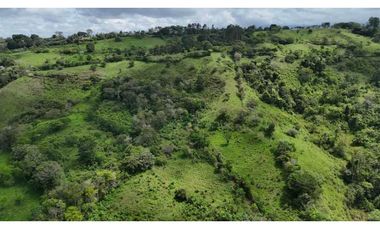 VENDO FINCA DE 69 HECTAREAS- LECHERIA