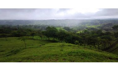 VENDO FINCA DE 69 HECTAREAS- LECHERIA