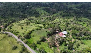 VENDO FINCA DE 69 HECTAREAS- LECHERIA