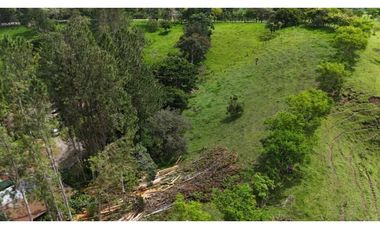 VENDO FINCA DE 69 HECTAREAS- LECHERIA