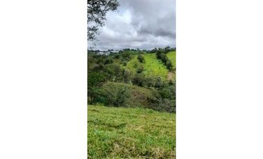 VENDO FINCA DE 69 HECTAREAS- LECHERIA