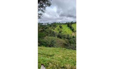VENDO FINCA DE 69 HECTAREAS- LECHERIA