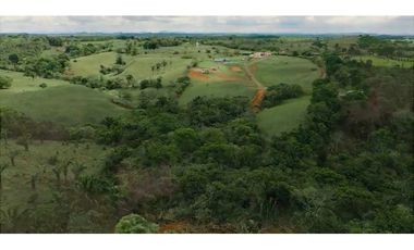 Terreno venta en Herrera, La Chorrera