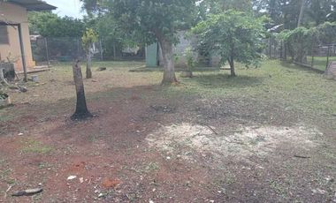 VENDO TERRENO EN LA CHORRERA CENTRO 304MTS