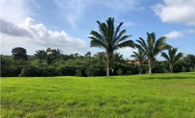 VENTA DE TERRENO CAMPESTRE EN PANAMA OESTE cv