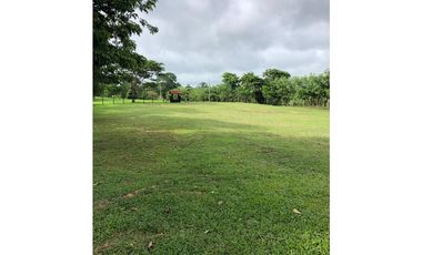 VENTA DE TERRENO CAMPESTRE EN PANAMA OESTE cv