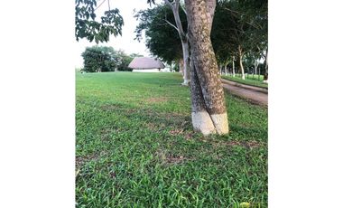 VENTA DE TERRENO CAMPESTRE EN PANAMA OESTE cv