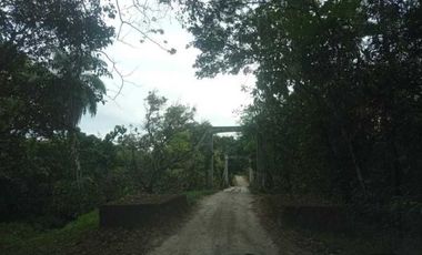 VENTA DE FINCA EN CALOBRE CON 2 CASAS