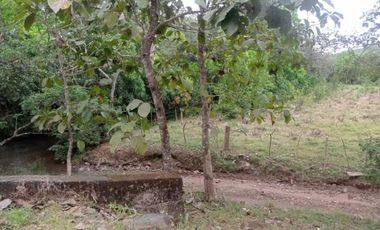 VENTA DE FINCA EN CALOBRE CON 2 CASAS