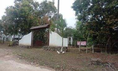 VENTA DE FINCA EN CALOBRE CON 2 CASAS