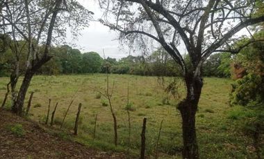 VENTA DE FINCA EN CALOBRE CON 2 CASAS