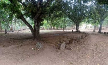 VENTA DE FINCA EN CALOBRE CON 2 CASAS