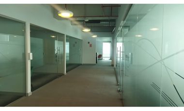 Se Alquila Oficina en Costa Del Este Amoblada a $ 17.65 Mt2