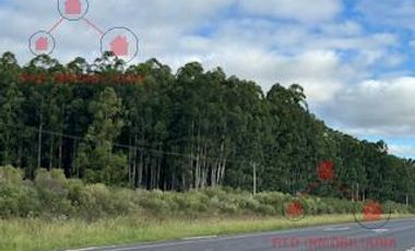 Campo sobre Autovía Ruta 14.Excelente ubicación