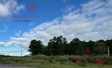 Campo sobre Autovía Ruta 14.Excelente ubicación