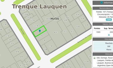 Casa en Trenque Lauquen