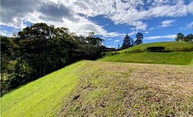 Venta Espectacular Lote CON LICENCIA Parcelacion Fizebad El Retiro