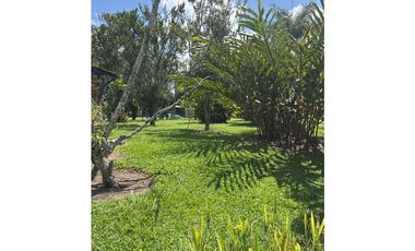 VENDO CHALET PLANO CON FRUTALES Y BIEN UBICADO EN QUIMBAYA