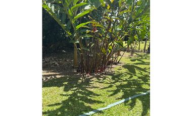 VENDO CHALET PLANO CON FRUTALES Y BIEN UBICADO EN QUIMBAYA