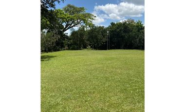 VENDO CHALET PLANO CON FRUTALES Y BIEN UBICADO EN QUIMBAYA