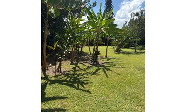 VENDO CHALET PLANO CON FRUTALES Y BIEN UBICADO EN QUIMBAYA