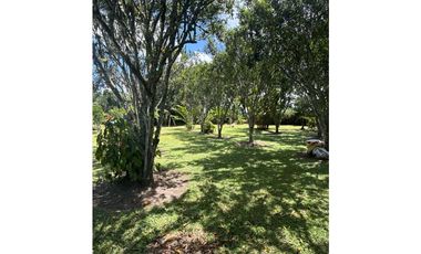 VENDO CHALET PLANO CON FRUTALES Y BIEN UBICADO EN QUIMBAYA