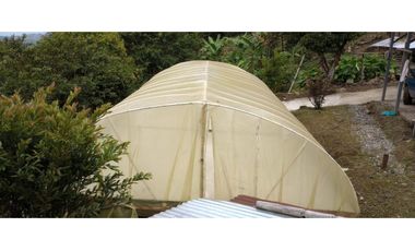 FINCA PRODUCTIVA EN VENTA EN RIO FRIO SALONICA VALLE DEL CAUCA