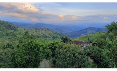 FINCA PRODUCTIVA EN VENTA EN RIO FRIO SALONICA VALLE DEL CAUCA