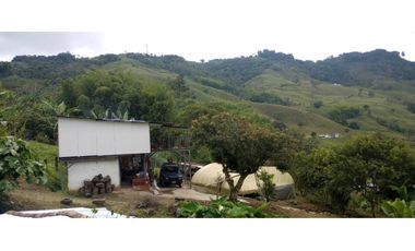 FINCA PRODUCTIVA EN VENTA EN RIO FRIO SALONICA VALLE DEL CAUCA